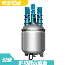 多功能反應(yīng)釜的構(gòu)成結(jié)構(gòu)、參數(shù)技術(shù)典型的主體反應(yīng)設(shè)備設(shè)計(jì)特點(diǎn)-成